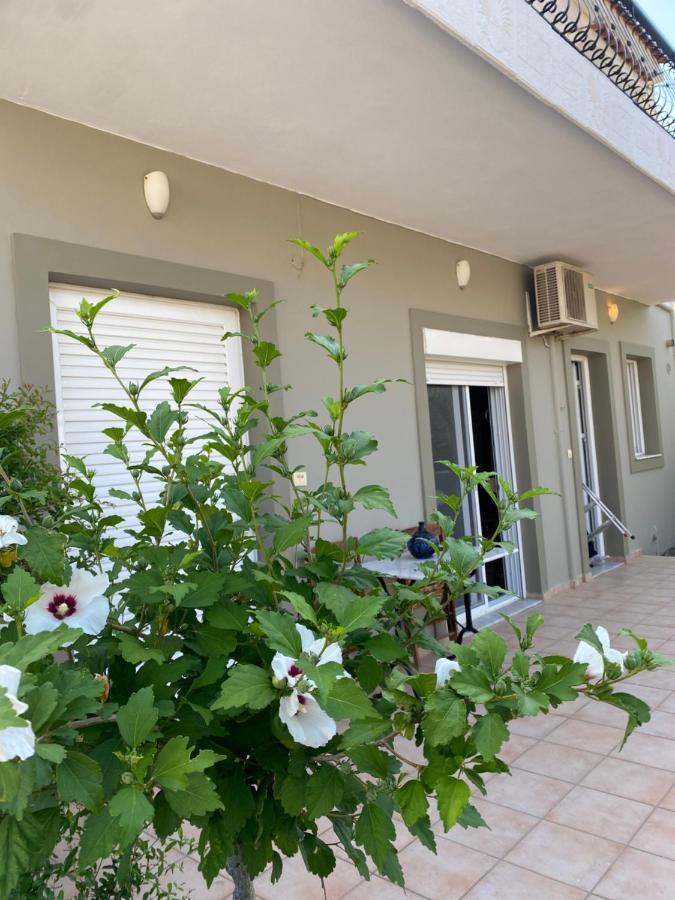Ilisia Neapoli Apartments 1 Neapoli Voion Ngoại thất bức ảnh