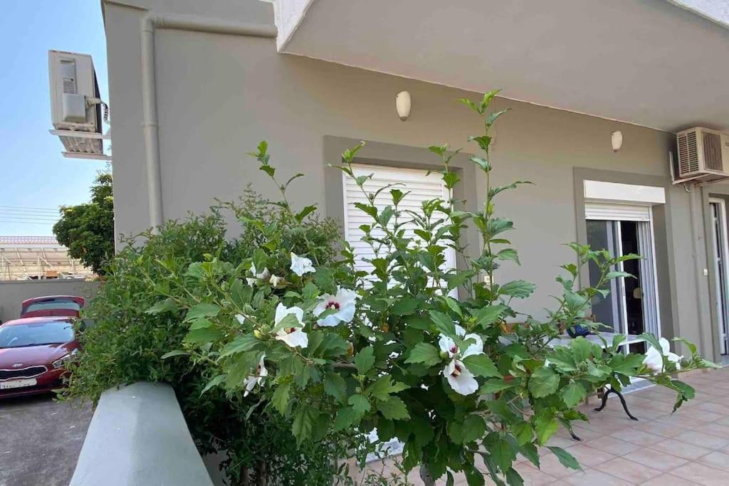 Ilisia Neapoli Apartments 1 Neapoli Voion Ngoại thất bức ảnh